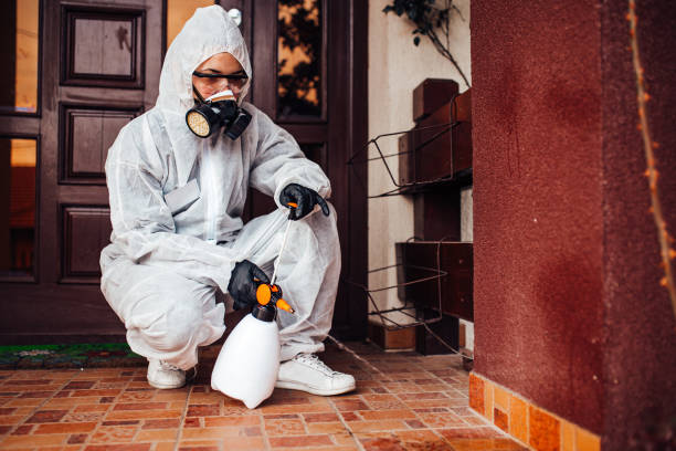 Reliable Cockroach Control contractor in Cedar Rapids, IA by Nex Pest Control